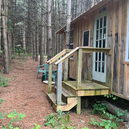 D & K Ranch “Max'S Cabin” Interlaken Exterior foto